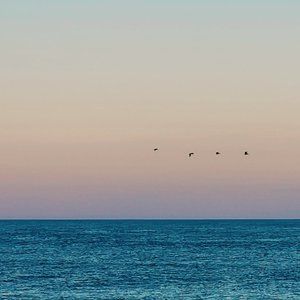 Meet your Posher, Tabitha lyon